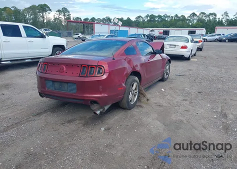 2014 Ford Mustang V6 z USA, uszkodzony, nr VIN 1ZVBP8AM5E5211979